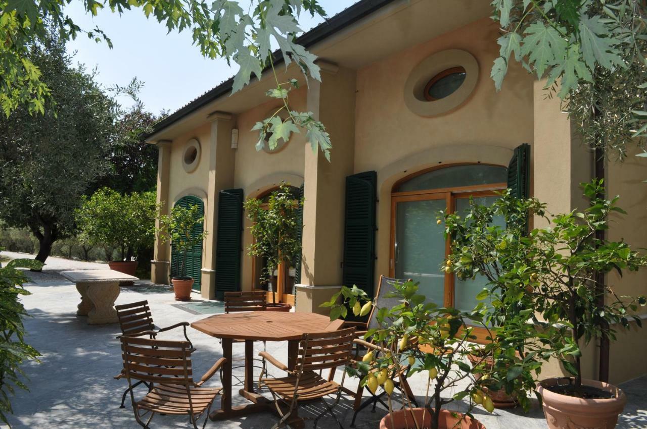 Agriturismo La Limonaia Mondavio Eksteriør bilde
