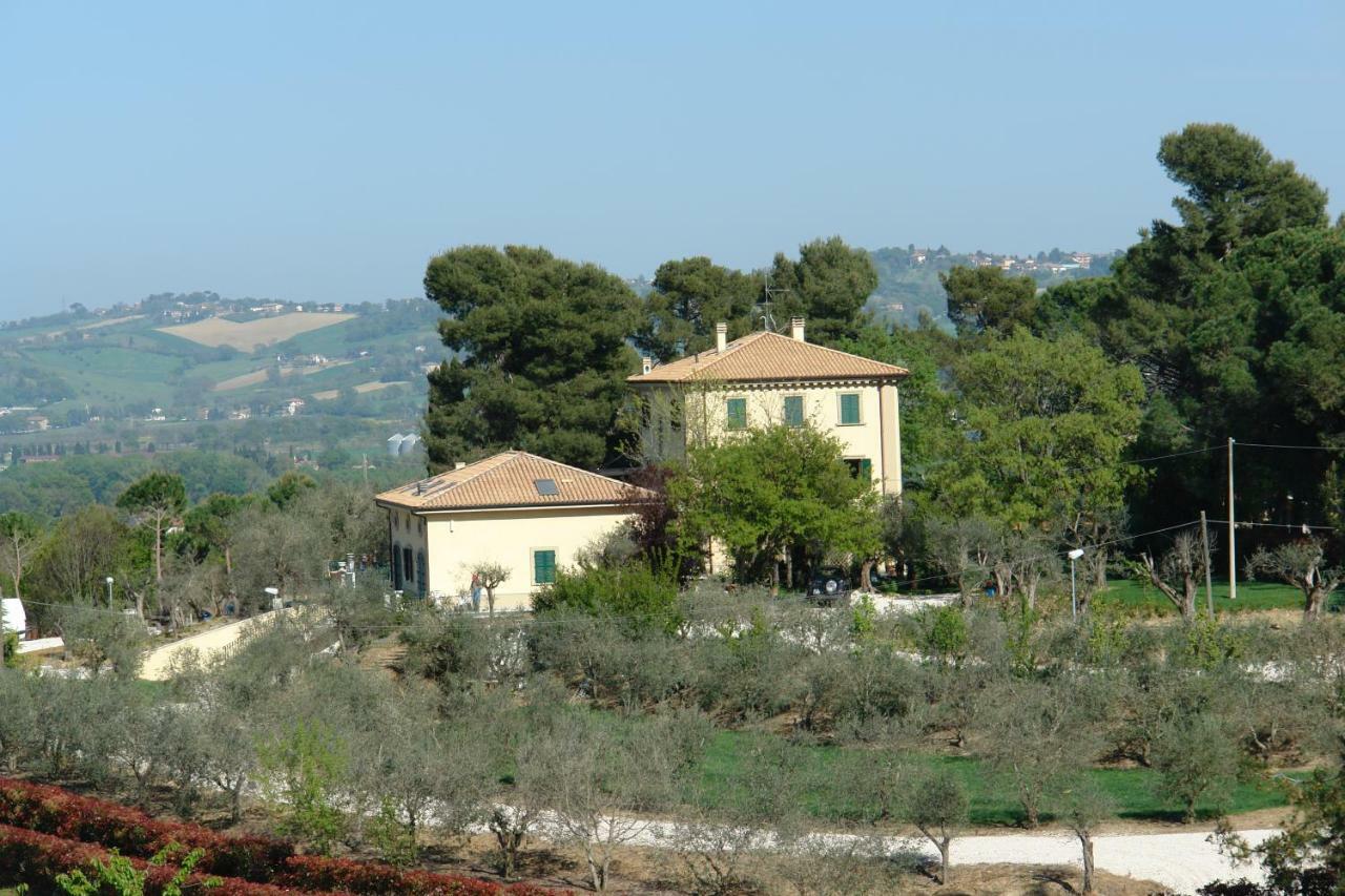 Agriturismo La Limonaia Mondavio Eksteriør bilde