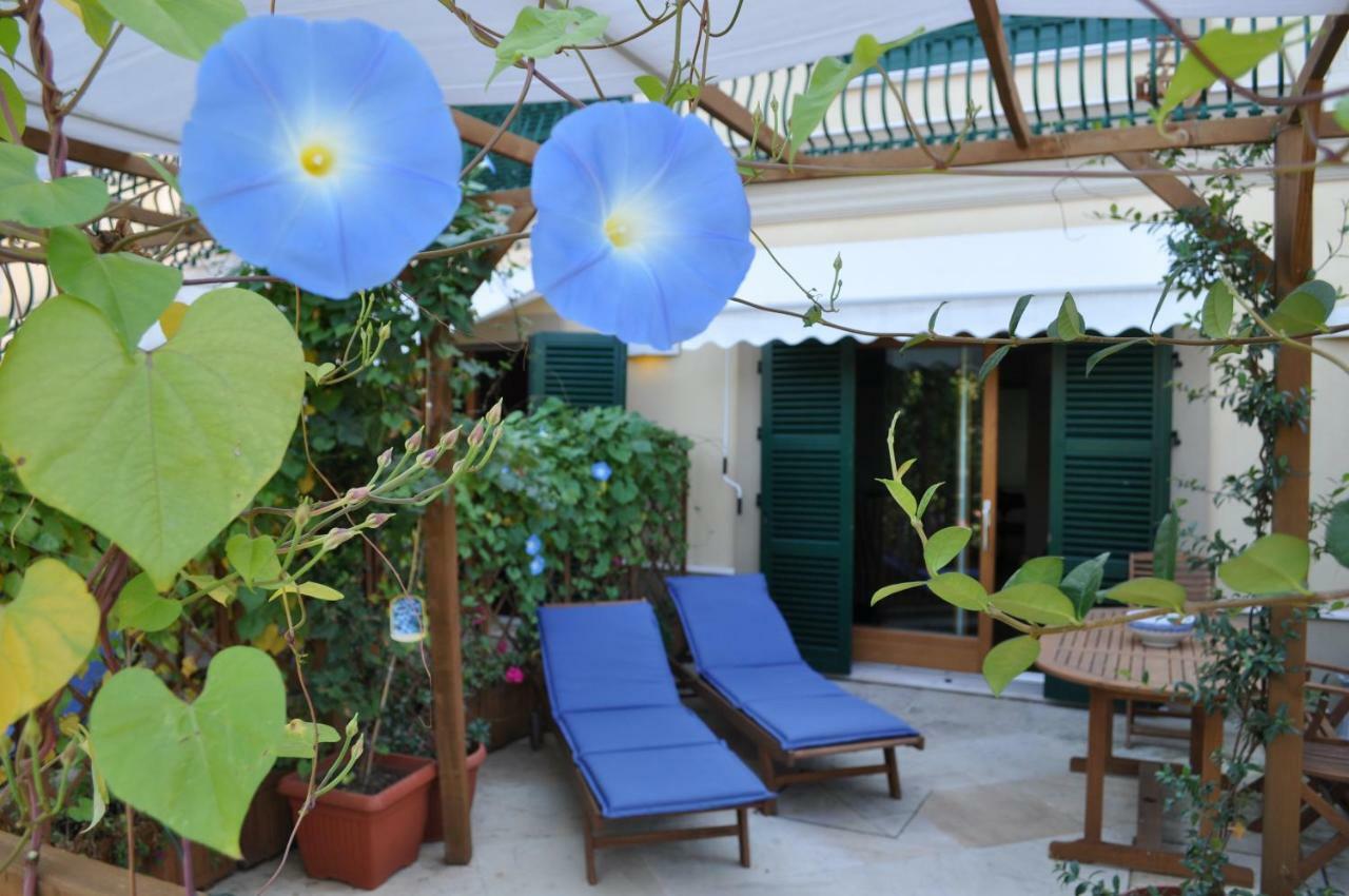 Agriturismo La Limonaia Mondavio Eksteriør bilde