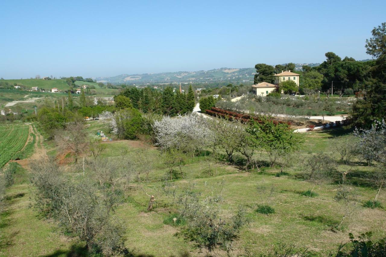 Agriturismo La Limonaia Mondavio Eksteriør bilde